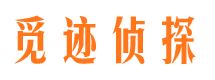 东阳市调查公司